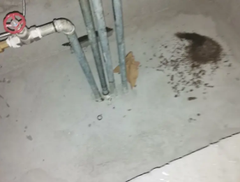 重庆卫生间测漏水价格明细